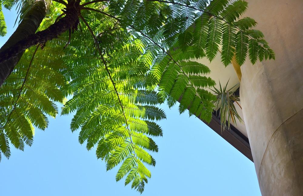 Villa San Michele apartamentos Port Douglas Exterior foto